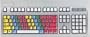 Finger Position Keyboard Stickers Labels Decals for the Beginning Typing Student to Graphically Showing "Typing Zones" for each Finger (Lexan� Polycarbonate Material, 3M� Adhesive)