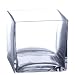 5" Clear Glass Square Vase 5x5x5