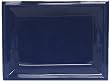 Blue Fish Ceramic Pottery Salmon Rectangle Tray 13" x 10" x 1"