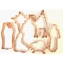 Set - Nativity - 6 Pcs.