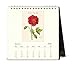 Cavallini Papers & Co CAL16-12 2016 Botanica Desk Calendar