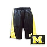 Men's Michigan Wolverines 'All Out Micromesh' Shorts
