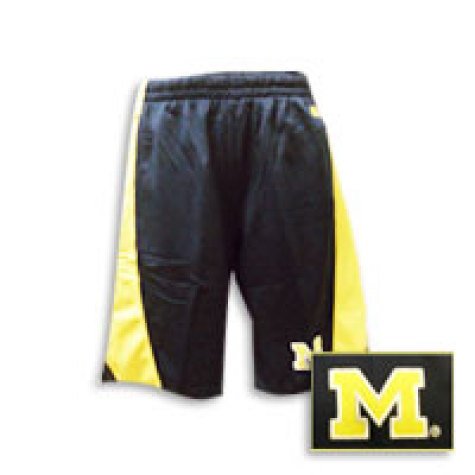 Men's Michigan Wolverines 'All Out Micromesh' Shorts