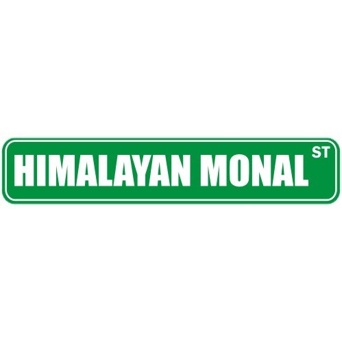 image link - - B000TKJVNI