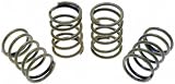 Raybestos H1150K Professional Grade Drum Brake Shoe Hold Down Spring