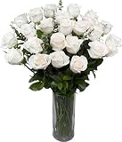Two Dozen Long Stem White Roses without Vase