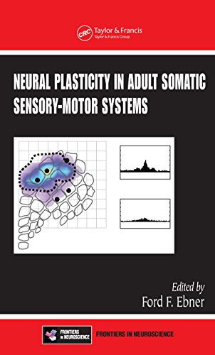 Neural Plasticity in Adult Somatic Sensory-Motor Systems (Frontiers in Neuroscience)