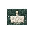 Harvard Univ "Harvard Mom" Charm/Pendant
