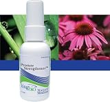 King Bio - Prostate Strengthener, 2 fl oz liquid