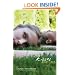 Kisses and Lies (Scarlett Wakefield Series)