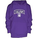 Northwestern Tackle Twill Hooded Sweatshirt (Team Color)