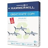 Hammermill 86702 Great White Recycled Copy Paper, 3-Hole, 8-1/2x11, 500 sheets/ream, 10 Reams/ct