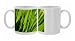 Green shoots of plant backlit by the sun Photo Mugs