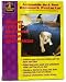 Kitchen & Housewares : Outward Hound OH00679 Back Seat Hammock, Black