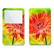 Gerbera Design Skin Decal Sticker for Apple iPod video 30GB/ 60GB/ 80GB Player