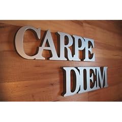 Schriftzug CARPE DIEM silber 80 cm lang Wanddeko Wandbild Wandtattoo