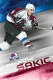 Joe Sakic Colorado Avalanche Poster 3863