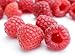 Virgin Extracts (TM) Pure Premium Organic Red Raspberry Powder Freeze Dried Extract 4:1 Red Raspberry Concentrate (4 X Stronger) 16oz Pouch