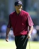 TIGER WOODS 24x36 COLOR POSTER PRINT