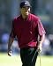 TIGER WOODS 24x36 COLOR POSTER PRINT