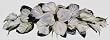 30" White Silk Calla Lily Swag