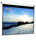 Celexon screen Manual Professional 240 x 180 cm