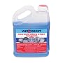 Wet & Forget #800003 1/2GAL Wet/Forg Remover