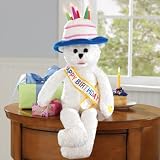 Singing Lighted Animated Happy Birthday Plush Bear