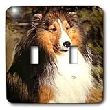 Dogs Sable Border Collies - Sable Border Collie - Light Switch Covers - double toggle switch
