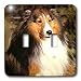 Dogs Sable Border Collies - Sable Border Collie - Light Switch Covers - double toggle switch