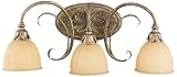 Hummingbird 22 Wide Three Light Bath Light