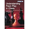 Understanding Pawn Play in Chess
