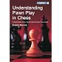Understanding Pawn Play in Chess