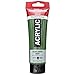 Royal Talens Amsterdam Standard Series Acrylic Color, 120ml Tube, Olive Green Deep (17096222)