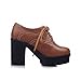 Show Shine Women's Fashion Platform High Chunky Heel Ankle Boots