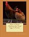 How to Raise Chickens for Food Eggs & Profits