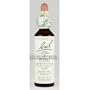 Bach Essence Holly 20 Milliliters