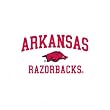 University of Arkansas Carsters - Coasters for Your Car