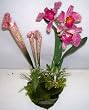 16" Tropical Orchid Arrangement (#3)