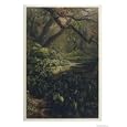 Xanthosoma and Other Exotic Flora and Birds in the Brazilian Jungle Giclee Poster Print by J. Selleny, 36x48
