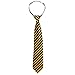 Baxbo Men's Hidden Flask Clip-On Neck Tie