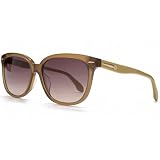 Calvin Klein Wayfarer Style Sunglasses in Cord CK4215S 237 53