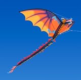 Dragon 3-D Nylon Kite