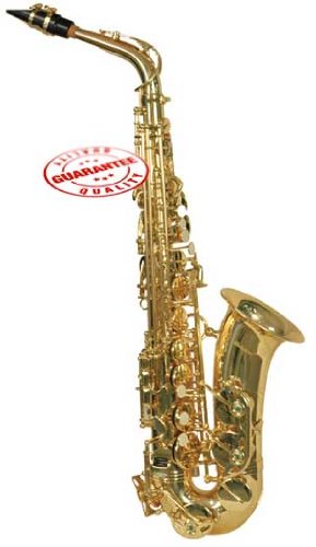Alto Saxophone Gold with Case