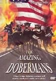 The Amazing Dobermans