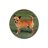 Chihuahua Rubber Round Coaster (4 pack)