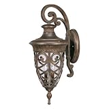 Nuvo Lighting Aston Large Outdoor Wall Mount