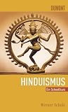 Schnellkurs Hinduismus - Werner Scholz