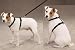 Z & Z Nylon Harness 8-14 In Jet Black