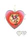 Fashion Jewelry ~ True Love Heart Locket Hook Pendant